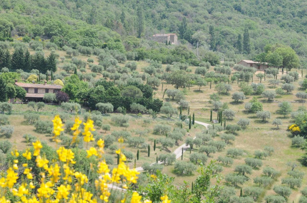 Agriturismo Panorama Sul Lago Passignano sul Trasimeno Exteriör bild